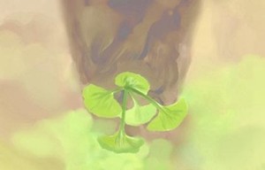 大林木命人取名帶什麼字好 五行屬木的名字推薦