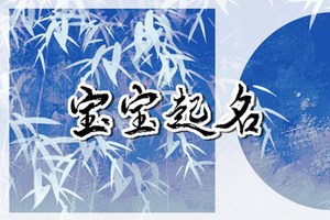 屬兔名字宜用字 免費屬兔名字分享