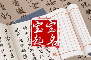 雙胞胎寶寶取名字大全 有創意的雙胞胎名字