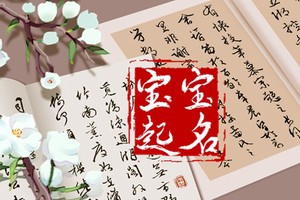 王字旁取名字的字屬木的字 生機勃勃的寶寶名字