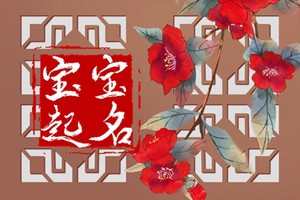 新手爸媽給寶寶取名大全 給新生寶寶取名字大全