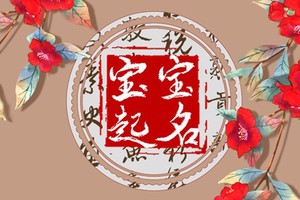 於姓虎寶寶起名大全男 清爽的男生名字