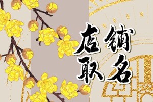 獨一無二的鴨貨店名字 鴨貨店起名順口好記