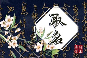 餐飲店取名大全免費 創意好聽的餐飲店鋪取名