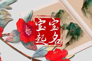 帶草字頭的字女孩取名 注意不要犯忌諱