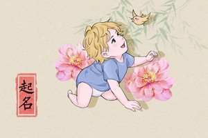 李姓順口名字男孩 男寶寶氣宇軒昂名字解析