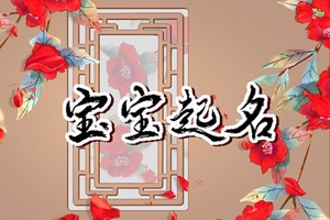有王字旁的字有哪些字 清爽的寶寶名字