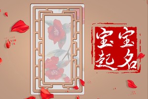 帶有王字旁寓意好的字 多才多藝的寶寶名字