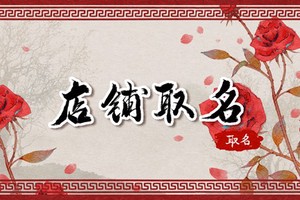 鮮花店名字創意唯美 一眼就吸引人的花店名