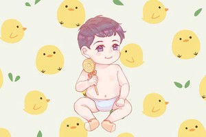 女孩姓盛的名字大全 給姓盛的女孩起名洋氣