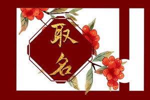 虎寶寶的小乳名姓吳怎麼取 可愛簡單的寶寶小名