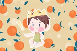 屬兔女孩高雅有涵養的名字 免費名字分享