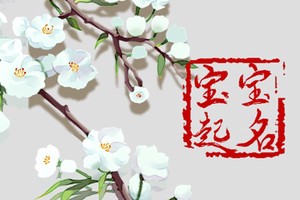 虎寶寶乳名 寓意寶寶健康成長的小名