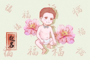 男孩兔寶寶取名字大全 屬兔子的男孩的名字大全