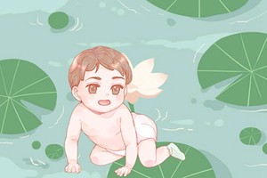 五行屬木字最旺的字取名 帶解析的大氣好名