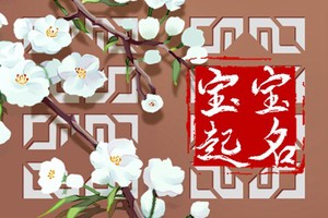 申姓獨特女孩名字 申姓女孩有詩意好聽的名字